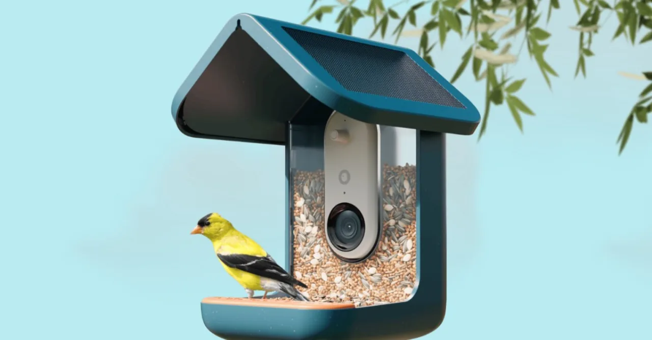 Pessoa correndo em parque, segurando BirdBuddy Pro Solar no pulso, com pássaro pousado no tronco e garrafa de água ao lado
