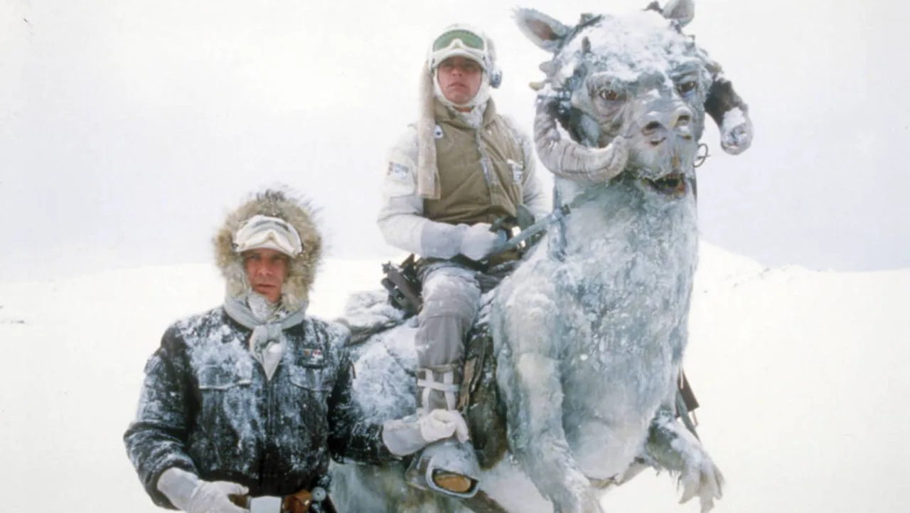 Seis backs de cartas Kenner Star Wars exibindo IG‑88, Zuckus, Han Solo em Hoth, FX‑7, Hammerhead e um cartão branco