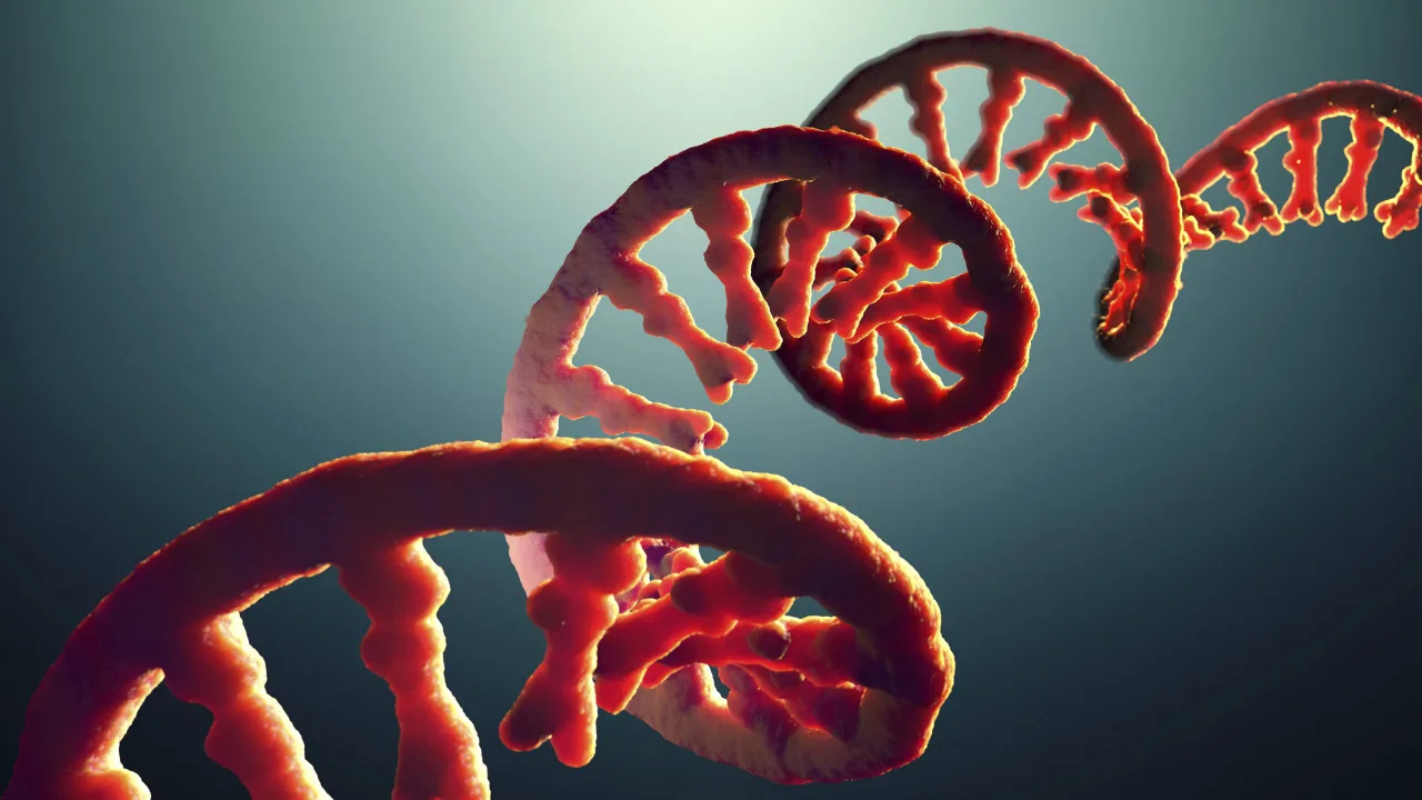 Camundongo correndo em uma esteira miniatura sob luz solar, cercado por tubos de ensaio e hélices de DNA estilizadas