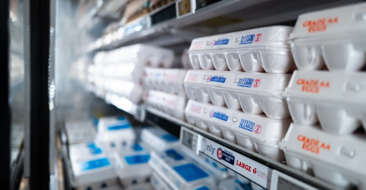 Mãos segurando ovos e alface iceberg ao lado de um termômetro de alimentos, sugerindo inspeção sanitária