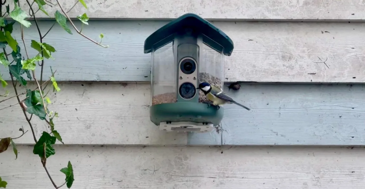 Alimentador Kiwibit Bird Feeder 2 Pro pendurado no quintal, cercado por várias aves coloridas como Great Tit e Blue Tit