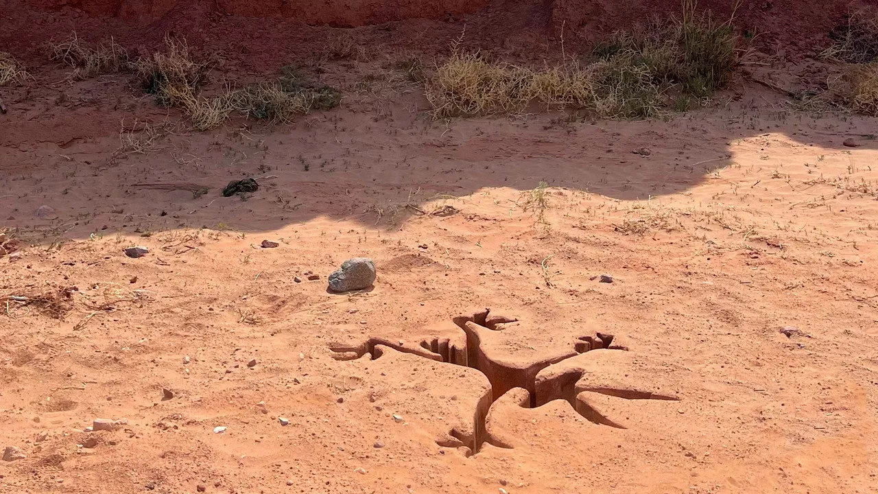 Imagem de Coyote vs. Acme — Coyote vs. Acme chega ao digital em 29/09/2026