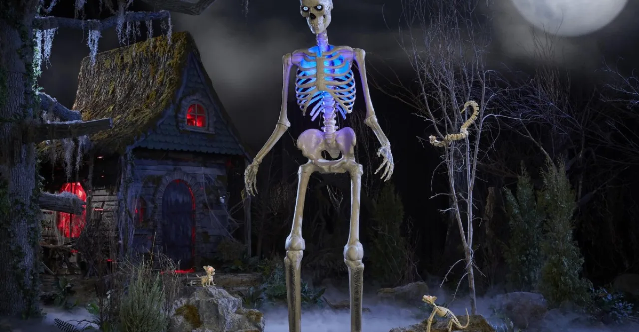 Pessoa usando o Skelly de 12 pés como suporte para alongamento de costas, segurando halteres e mantendo postura ereta