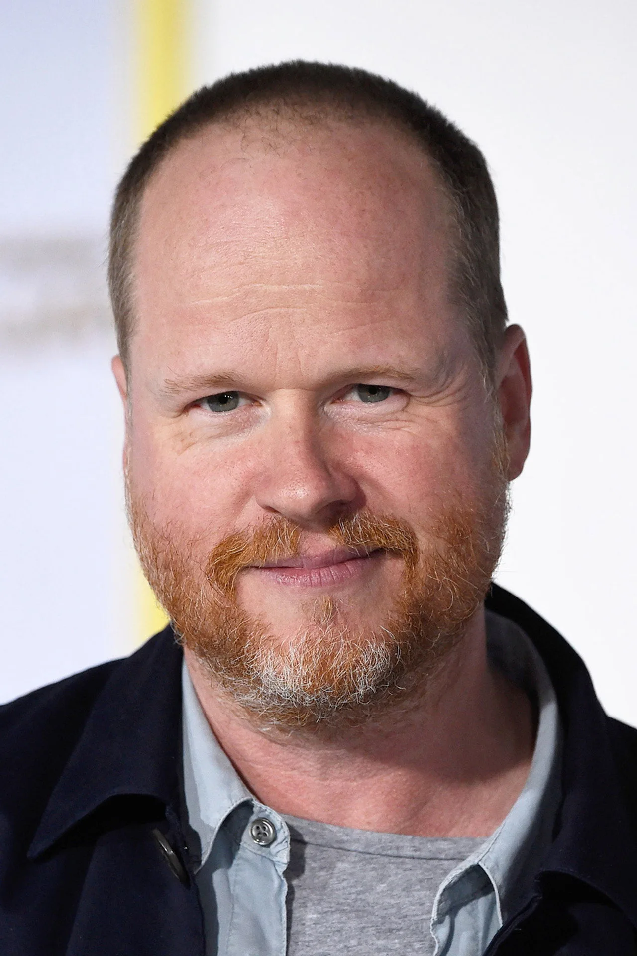 Imagem de Joss Whedon — V, Dollhouse e FlashForward: séries de 2009 ainda boas